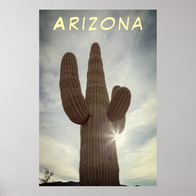 Saguaro Poster (Framsidan)