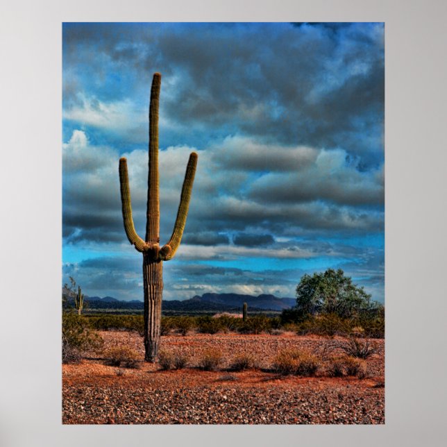 Saguaro Poster (Framsidan)