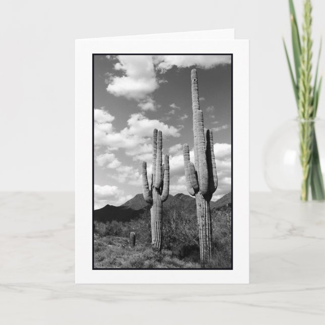 Saguaro Sentinels-gratulationskort Kort (Framsida)