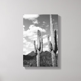 Saguaro Sentinels Photo Canvas (AZ Sonoran Desert)