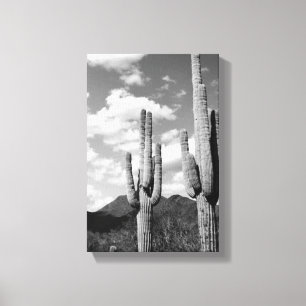 Saguaro Sentinels Photo Canvas (AZ Sonoran Desert)