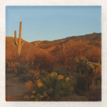 Saguaro Solnedgång I Arizonas Ökenlandskap
