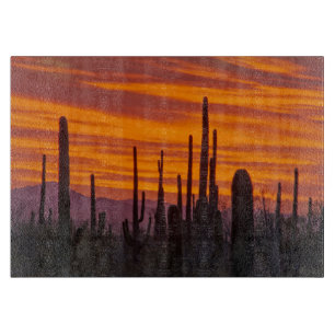 Saguaro, solnedgång, Saguaro National Park