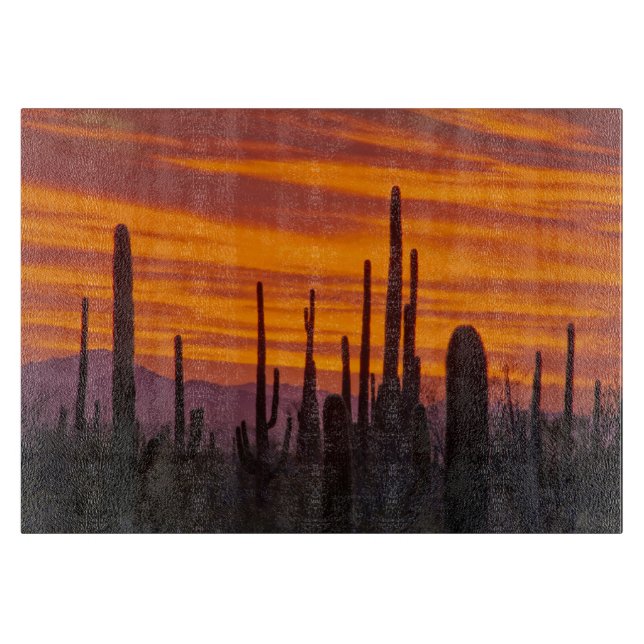 Saguaro, solnedgång, Saguaro National Park (Framsidan)