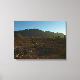 Saguaro Sunrise i Saguaro nationalpark Canvastryck