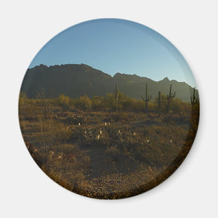 Saguaro Sunrise i Saguaro nationalpark Magnet