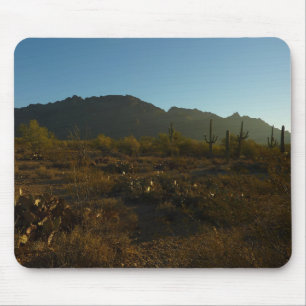 Saguaro Sunrise i Saguaro nationalpark Musmatta