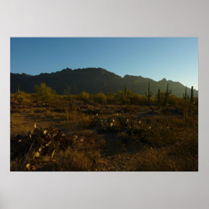 Saguaro Sunrise i Saguaro nationalpark Poster