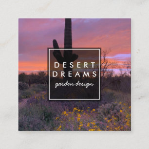 Saguaro Sunset Desert Garden Photo Travel Turism Fyrkantigt Visitkort