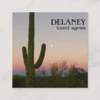 Saguaro Sunset Desert Photo Garden Cactus Travel
