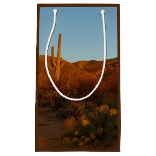 Saguaro Sunset I Arizona Desert liggande