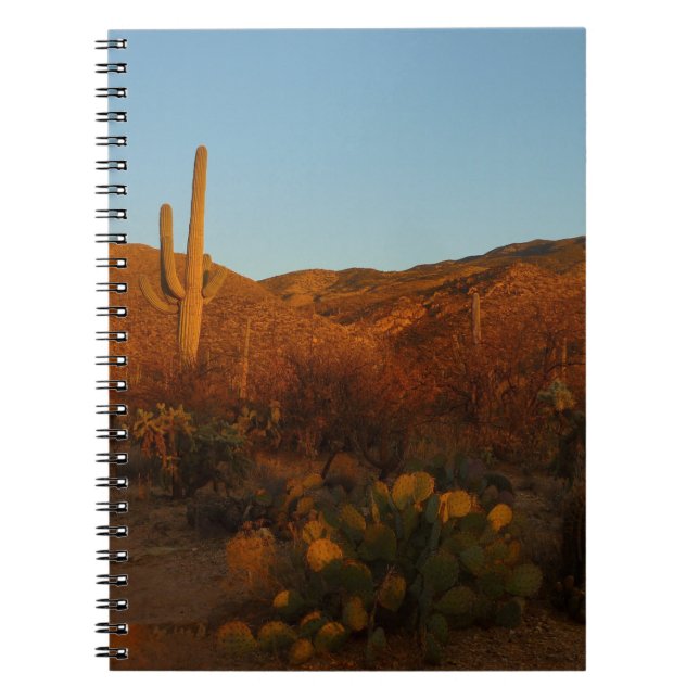 Saguaro Sunset I Arizona Desert liggande Anteckningsbok (Framsidan)