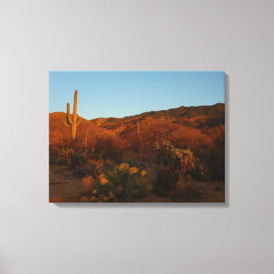 Saguaro Sunset I Arizona Desert liggande Canvastryck