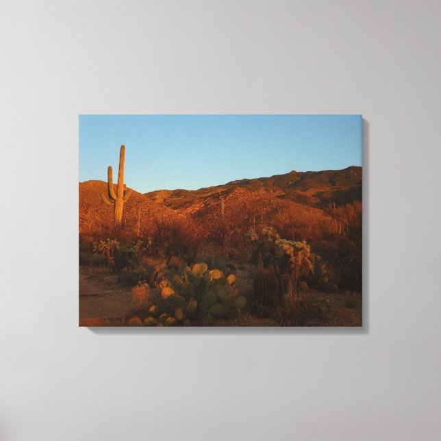 Saguaro Sunset I Arizona Desert liggande Canvastryck (Framsida)