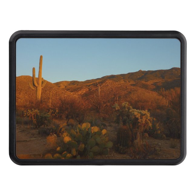 Saguaro Sunset I Arizona Desert liggande Dragkroksskydd (Framsidan)