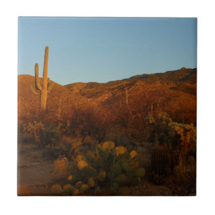 Saguaro Sunset I Arizona Desert liggande Kakelplatta
