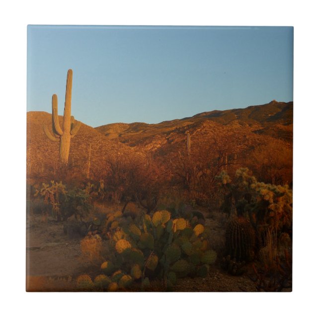 Saguaro Sunset I Arizona Desert liggande Kakelplatta (Framsidan)