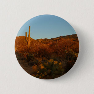 Saguaro Sunset I Arizona Desert liggande Knapp
