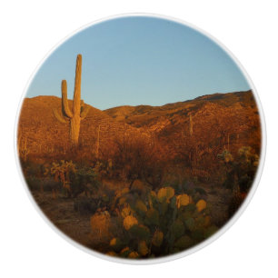 Saguaro Sunset I Arizona Desert liggande Knopp