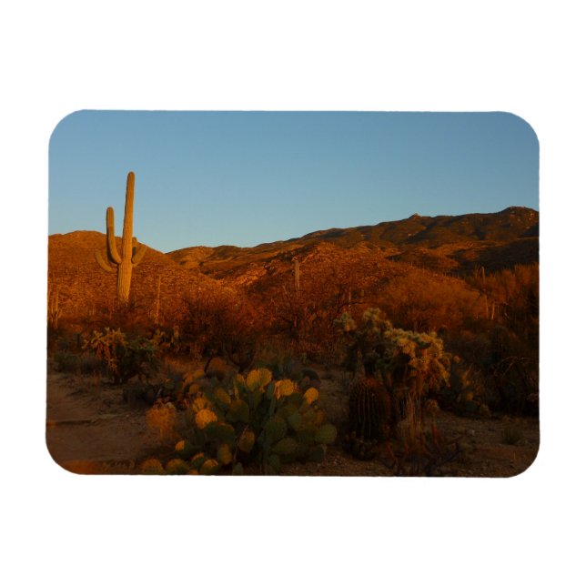 Saguaro Sunset I Arizona Desert liggande Magnet (Horisontell)