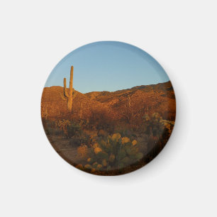 Saguaro Sunset I Arizona Desert liggande Magnet
