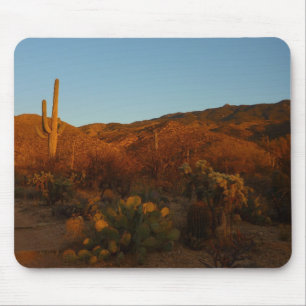 Saguaro Sunset I Arizona Desert liggande Musmatta