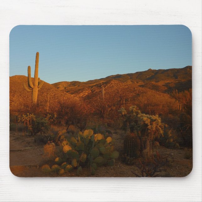 Saguaro Sunset I Arizona Desert liggande Musmatta (Framsidan)