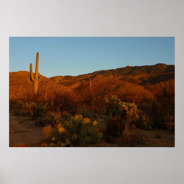 Saguaro Sunset I Arizona Desert liggande Poster (Framsidan)