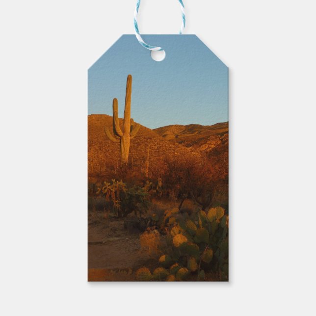 Saguaro Sunset I Arizona Desert liggande Presentetikett (Framsidan)