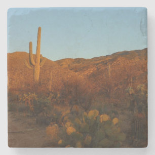 Saguaro Sunset I Arizona Desert liggande Stenunderlägg