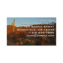 Saguaro Sunset I Arizona Desert liggande