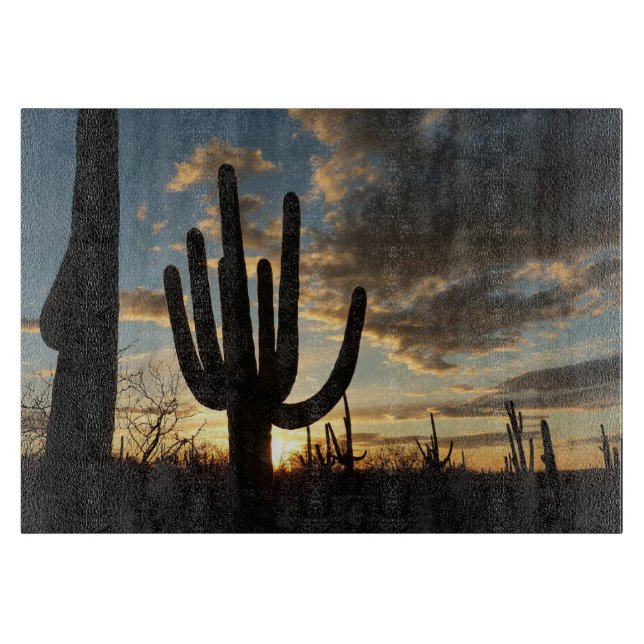 Saguaro Sunset II Arizona Desert liggande (Framsidan)