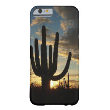 Saguaro Sunset II Arizona Desert liggande