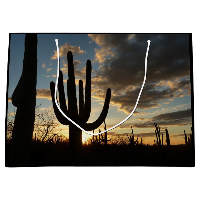 Saguaro Sunset II Arizona Desert liggande (Framsidan)