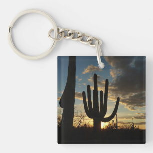 Saguaro Sunset II Arizona Desert liggande