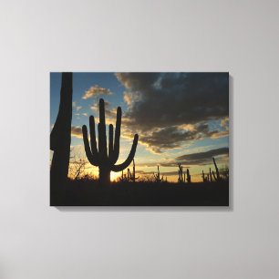 Saguaro Sunset II Arizona Desert liggande Canvastryck