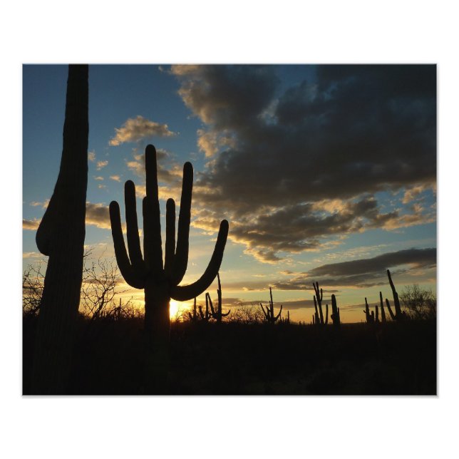 Saguaro Sunset II Arizona Desert liggande Fototryck (Framsidan)