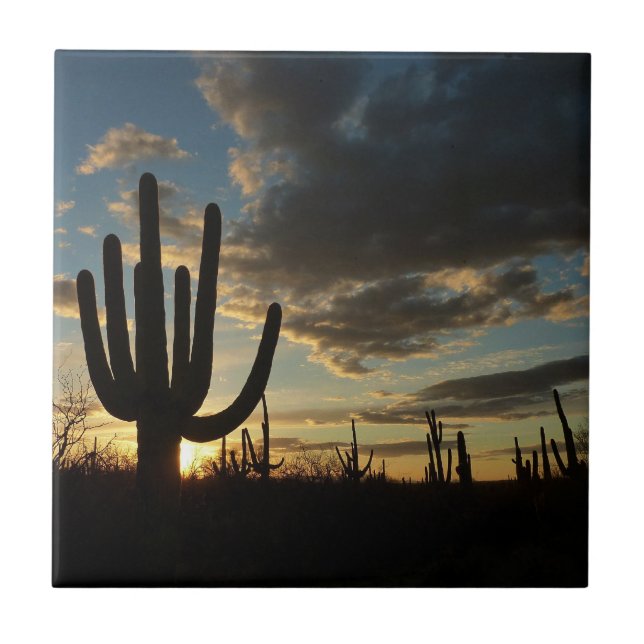 Saguaro Sunset II Arizona Desert liggande Kakelplatta (Framsidan)