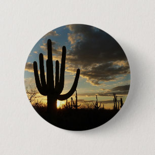 Saguaro Sunset II Arizona Desert liggande Knapp