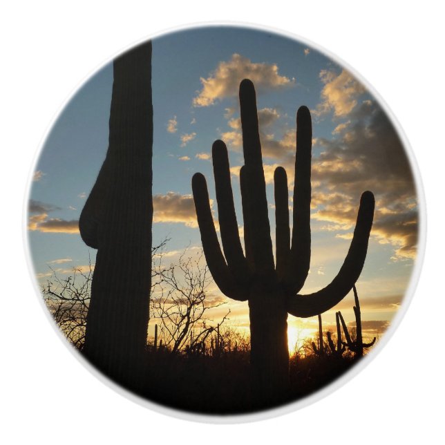 Saguaro Sunset II Arizona Desert liggande Knopp (Framsidan)