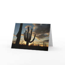 Saguaro Sunset II Arizona Desert liggande