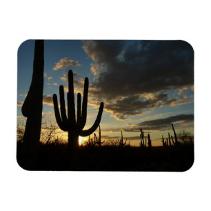 Saguaro Sunset II Arizona Desert liggande Magnet
