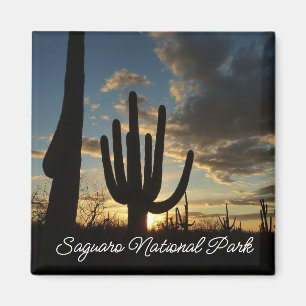 Saguaro Sunset II Arizona Desert liggande Magnet