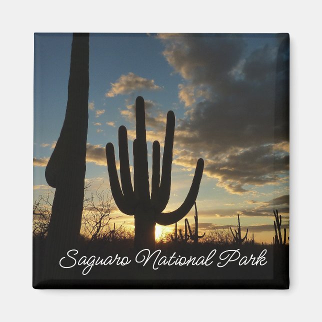 Saguaro Sunset II Arizona Desert liggande Magnet (Framsidan)