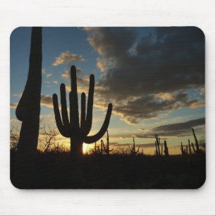 Saguaro Sunset II Arizona Desert liggande Musmatta