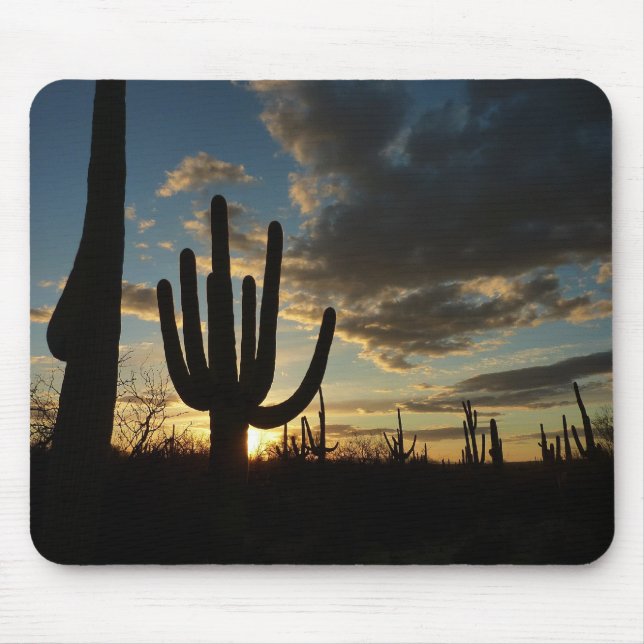 Saguaro Sunset II Arizona Desert liggande Musmatta (Framsidan)
