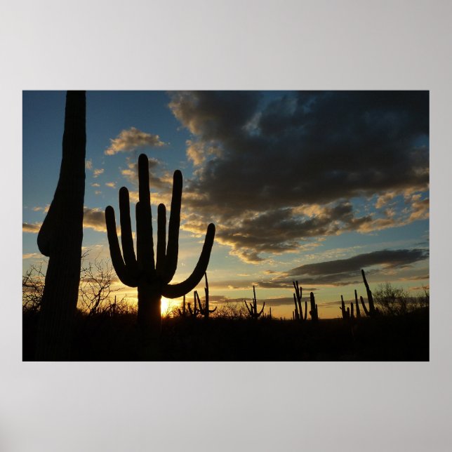 Saguaro Sunset II Arizona Desert liggande Poster (Framsidan)