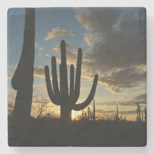Saguaro Sunset II Arizona Desert liggande Underlägg Sten