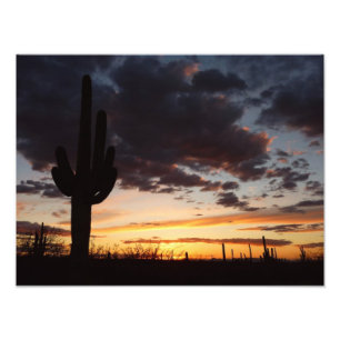 Saguaro Sunset III Arizona Desert liggande Fototryck