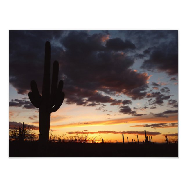 Saguaro Sunset III Arizona Desert liggande Fototryck (Framsidan)